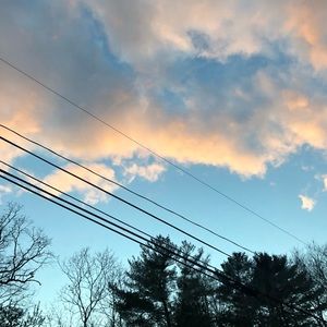 Meet your Posher, Audrey